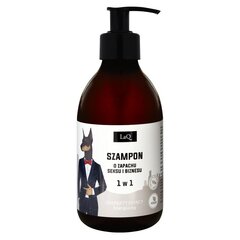 Enerģizējošs šampūns vīriešiem LaQ LaQ 1in1 Doberman, 300 ml cena un informācija | Šampūni | 220.lv