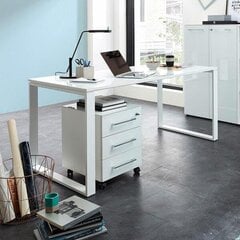 Письменный стол 4200, белый цвет цена и информация | Компьютерные, письменные столы | 220.lv