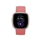 Fitbit Versa 4 Pink Sand/Copper Rose cena un informācija | Viedpulksteņi (smartwatch) | 220.lv