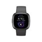 Fitbit Sense 2 Shadow Grey/Graphite cena un informācija | Viedpulksteņi (smartwatch) | 220.lv