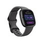 Fitbit Sense 2 Shadow Grey/Graphite cena un informācija | Viedpulksteņi (smartwatch) | 220.lv