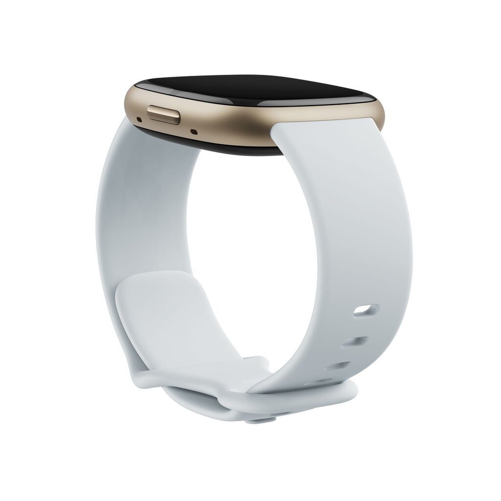 Fitbit Sense 2 Blue Mist/Soft Gold цена и информация | Viedpulksteņi (smartwatch) | 220.lv