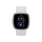 Fitbit Sense 2 Blue Mist/Soft Gold cena un informācija | Viedpulksteņi (smartwatch) | 220.lv