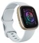 Fitbit Sense 2 Blue Mist/Soft Gold цена и информация | Viedpulksteņi (smartwatch) | 220.lv