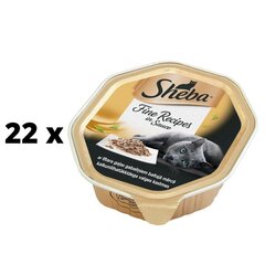 Konservi kaķiem SHEBA, ar tītaru, 85g x 22 iepakojumi cena un informācija | Sheba Zoo preces | 220.lv