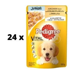 Suņu barība PEDIGREE Junior, ar vistu, maisiņos, 100 g x 24 gab. cena un informācija | Konservi suņiem | 220.lv