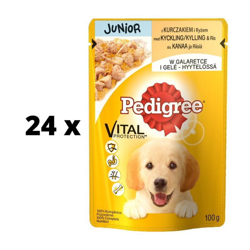 Suņu barība PEDIGREE Junior, ar vistu, maisiņos, 100 g x 24 gab. cena un informācija | Konservi suņiem | 220.lv