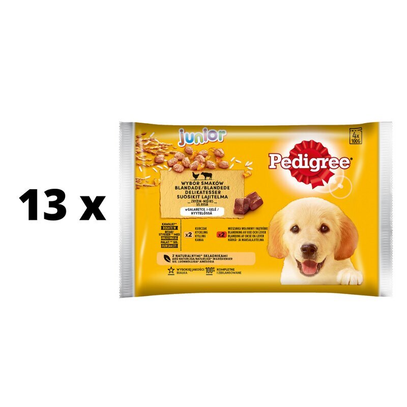 Suņu barības komplekts PEDIGREE Junior, 4 x 100 g x 13 gab. cena un informācija | Konservi suņiem | 220.lv
