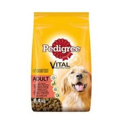 Сухой корм для собак PEDIGREE Adult с говядиной и птицей, 8,4 кг x 1 шт. упаковка цена и информация | Сухой корм для собак | 220.lv