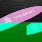 Aerobika platforma Springos, melna/rozā/pelēka цена и информация | Stepa soli | 220.lv