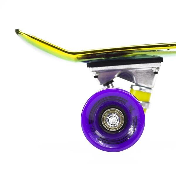 Skrituļdēlis Nils Extreme Pennyboard PNB01 Rainbow, krāsains cena un informācija | Skrituļdēļi | 220.lv