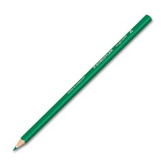 Krāsains zīmulis Ergosoft zaļš trīspusējs, Staedtler /12 cena un informācija | Modelēšanas un zīmēšanas piederumi | 220.lv