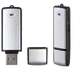 Диктофон-USB накопитель цена и информация | Другие оригинальные подарки | 220.lv