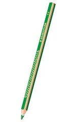 Krāsains trīspusējs zīmulis Jumbo zaļš, Staedtler/12 cena un informācija | Modelēšanas un zīmēšanas piederumi | 220.lv