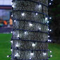 Profesionāla āra virtene no 100 LED spuldzēm Brosberg, vēsi balta cena un informācija | Ziemassvētku lampiņas, LED virtenes | 220.lv