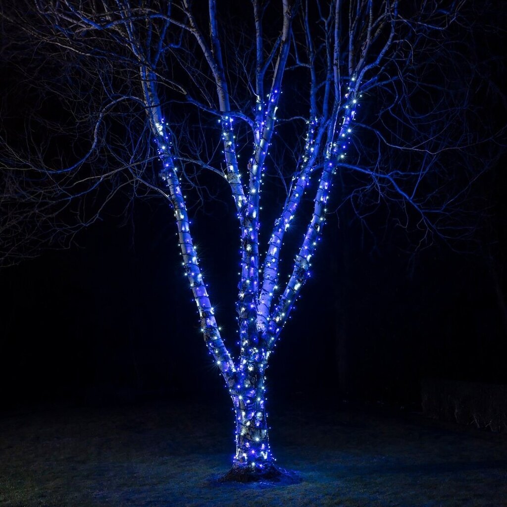 100 LED spuldžu profesionāla āra virtene Brosberg, zila cena un informācija | Ziemassvētku lampiņas, LED virtenes | 220.lv