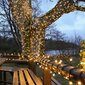 100 LED spuldžu profesionāla āra virtene Lāstekas Brosberg, 3 m, silti balta cena un informācija | Ziemassvētku lampiņas, LED virtenes | 220.lv
