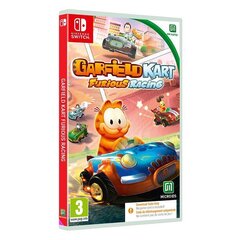 SWITCH Garfield Kart Furious Racing (Code in a Box) цена и информация | Компьютерные игры | 220.lv