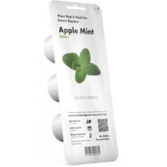 Click & Grow Smart Garden refill Apple Mint 3pcs цена и информация | Проращиватели, лампы для растений | 220.lv