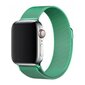 Magnetic Watch Strap Green cena un informācija | Viedpulksteņu un viedo aproču aksesuāri | 220.lv