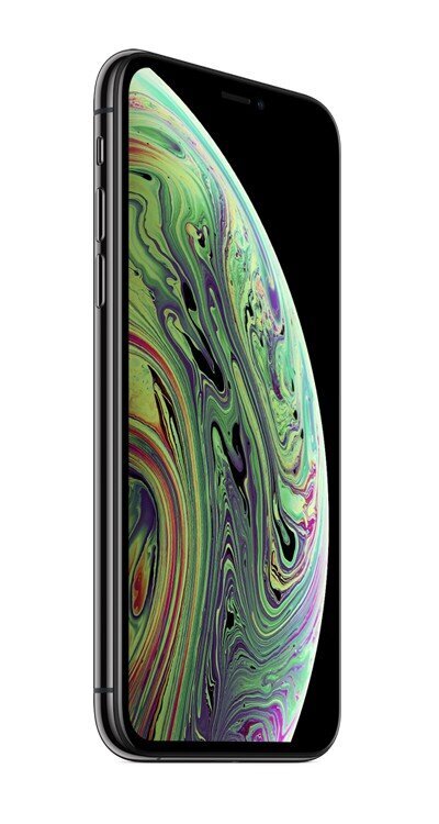 Apple iPhone XS 14.7 cm (5.8") Dual SIM iOS 12 4G 64 GB Grey Remade/Refurbished cena un informācija | Mobilie telefoni | 220.lv