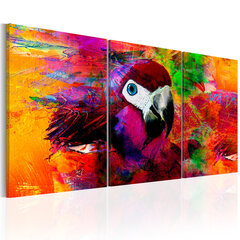 Glezna - Jungle of Colours 60x30 cm cena un informācija | Gleznas | 220.lv