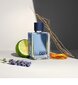 Tualetes ūdens Calvin Klein Defy EDT vīriešiem 30 ml цена и информация | Vīriešu smaržas | 220.lv