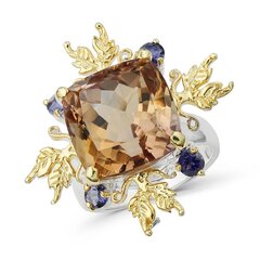 Серебряное (925) кольцо с драгоценными камнями, код f50282 F50282EU-59 цена и информация | Кольца | 220.lv