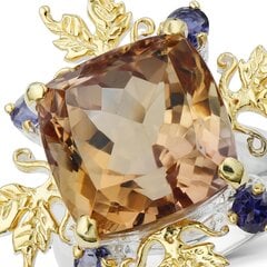 Серебряное (925) кольцо с драгоценными камнями, код f50282 F50282EU-59 цена и информация | Кольца | 220.lv