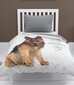 Bērnu gultas pārklājs 170x210 cm cena un informācija | Gultas pārklāji, pledi | 220.lv