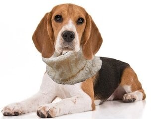 Теплый и красивый круглый шарф для собаки из мягкой полушерсти. цена и информация | Одежда для собак | 220.lv