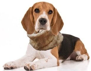Теплый и красивый круглый шарф для собаки из мягкой полушерсти цена и информация | Одежда для собак | 220.lv