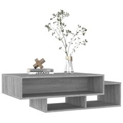 Kafijas galdiņš, pelēks ozols, 105x55x32cm, apstrādāts koks цена и информация | Журнальные столики | 220.lv