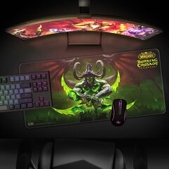 Blizzard World of WarCraft Burning Crusade - Illidan  цена и информация | Мыши | 220.lv