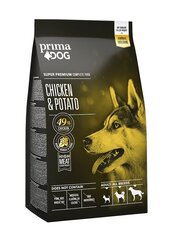 PrimaDog Adult Chicken Potato безглютеновый сухой корм для взрослых собак с курицей, 2 кг цена и информация | Сухой корм для собак | 220.lv