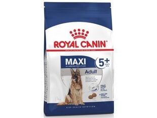 Sausā barība suņiem Royal Canin SHN Maxi Adult 5+, vecāka gadagājuma suņiem, 4 kg cena un informācija | Sausā barība suņiem | 220.lv