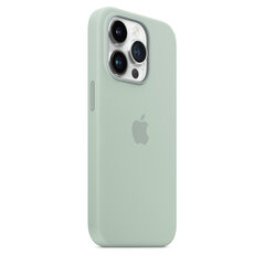 iPhone 14 Pro Max Silicone Case with MagSafe - Succulent цена и информация | Чехлы для телефонов | 220.lv