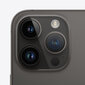 Apple iPhone 14 Pro Max 256GB Space Black MQ9U3PX/A cena un informācija | Mobilie telefoni | 220.lv
