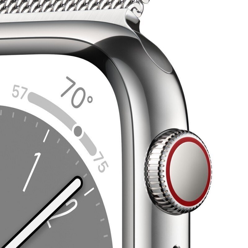 Apple Watch Series 8 GPS + Cellular 41mm Silver Stainless Steel Case ,Silver Milanese Loop MNJ83UL/A cena un informācija | Viedpulksteņi (smartwatch) | 220.lv