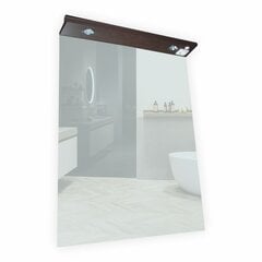 Зеркало F1000631 с подсветкой цена и информация | Зеркала в ванную | 220.lv
