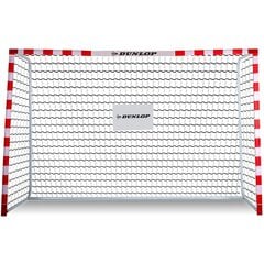 Футбольные ворота Dunlop Allround, 300 x 200 x 110 см цена и информация | Футбольные ворота и сетки | 220.lv