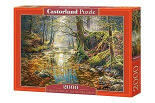 Castorland puzle Reminiscence of the Autumn Forest цена и информация | Пазлы | 220.lv