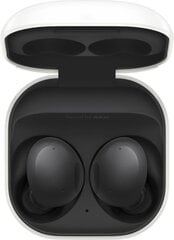 Samsung Galaxy Buds 2 SM-R177NZKAEUG цена и информация | Наушники с микрофоном Asus H1 Wireless Чёрный | 220.lv