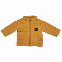 Куртка Clasic цена и информация | Куртки для мальчиков | 220.lv
