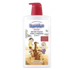 Гель для мытья тела и волос для детей Bambino Kids 2 в 1, 1000 мл цена и информация | Масла, гели для душа | 220.lv