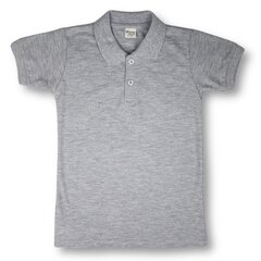 Polo krekls ar īsām piedurknēm цена и информация | Рубашки для мальчиков | 220.lv