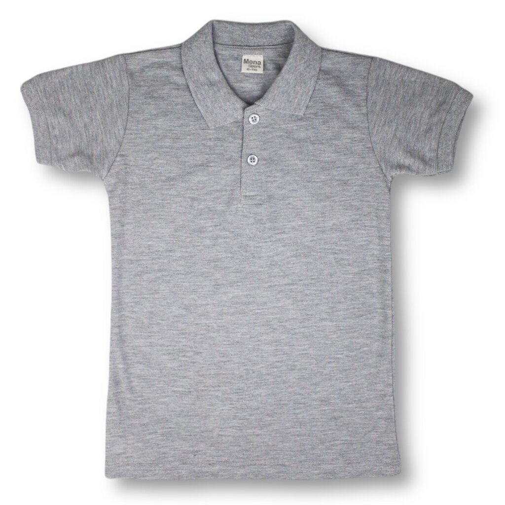 Polo krekls ar īsām piedurknēm cena un informācija | Zēnu krekli | 220.lv