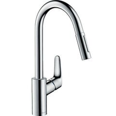 Virtuves jaucējkrāns Hansgrohe Focus M41 73880000 cena un informācija | Jaucējkrāni | 220.lv