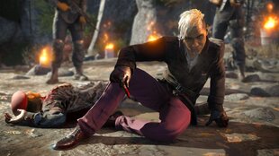 Far Cry 4 - Стандартное издание [PlayStation 4] цена и информация | Компьютерные игры | 220.lv