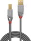 CABLE USB2 A-B 3M/CROMO 36643 LINDY цена и информация | Savienotājkabeļi | 220.lv